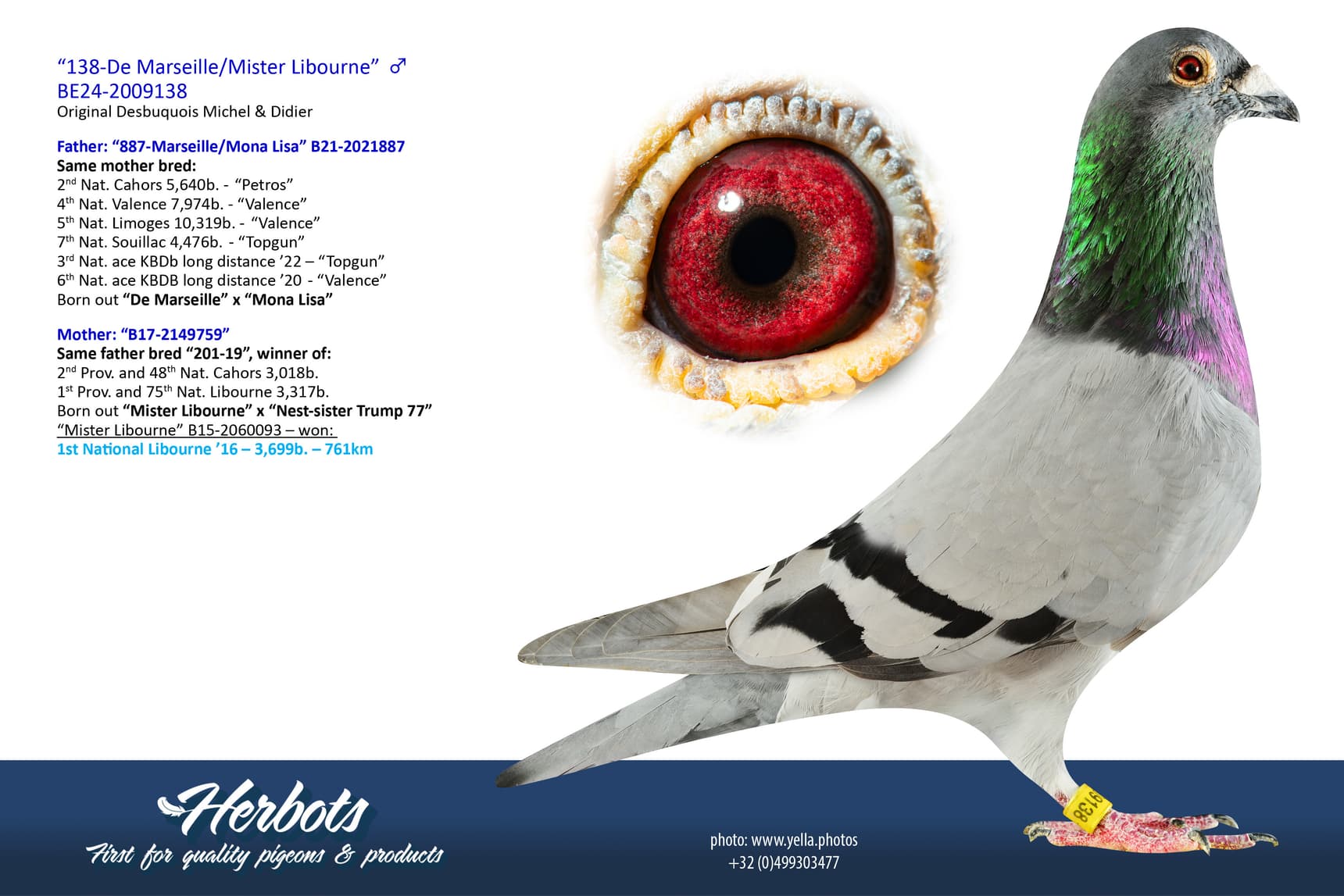 pigeon: undefined