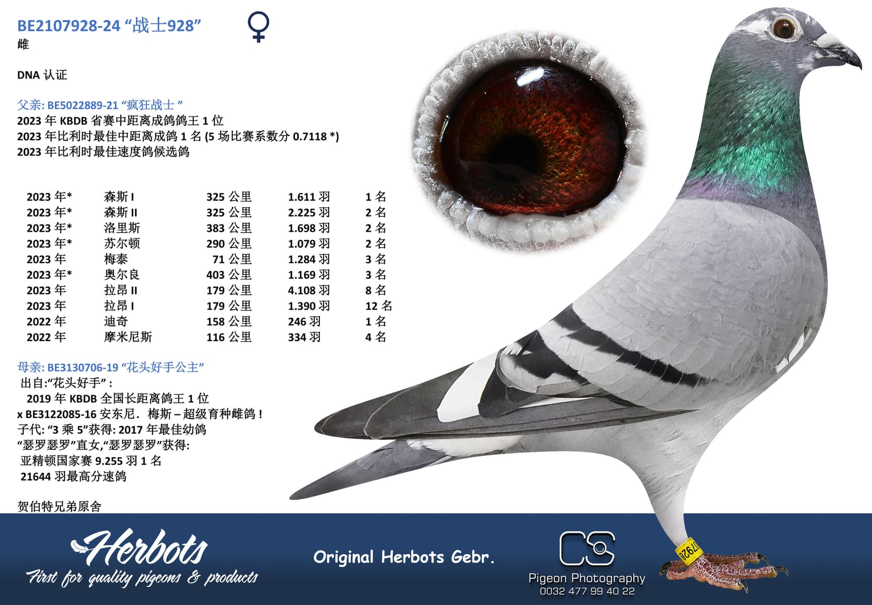 pigeon: “战士928”