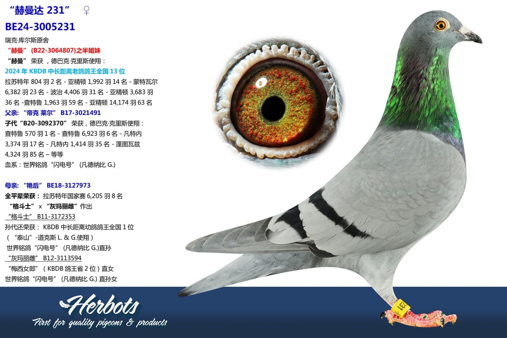 pigeon: undefined
