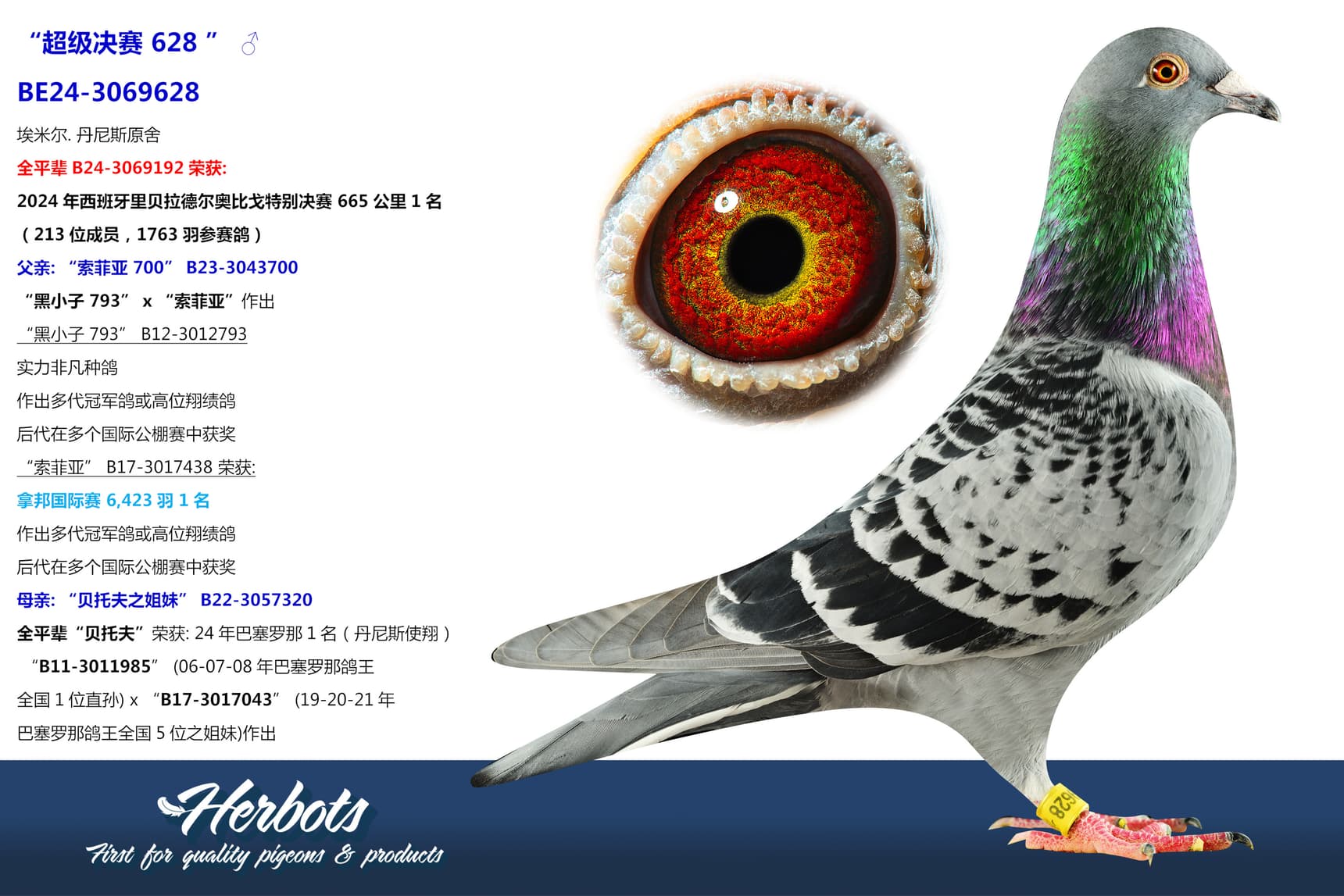 pigeon: undefined
