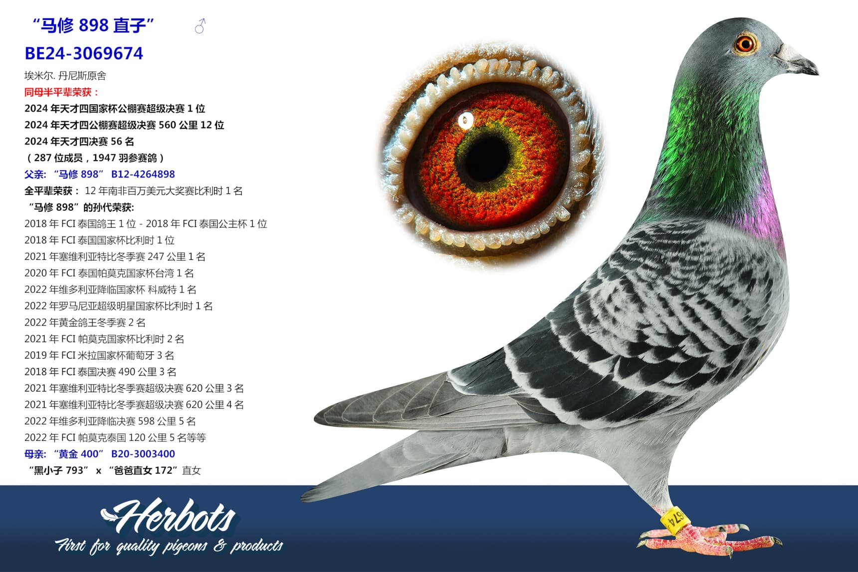 pigeon: undefined