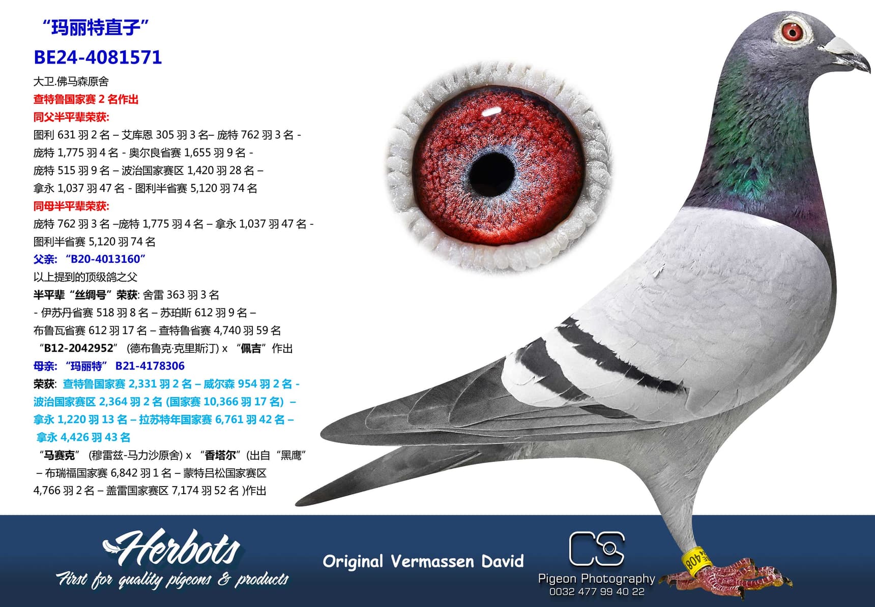 pigeon: undefined