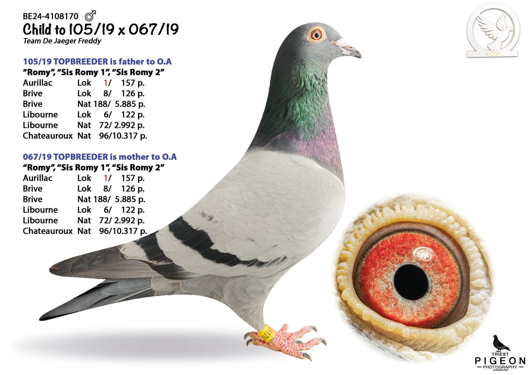 100% De Jaeger Freddy