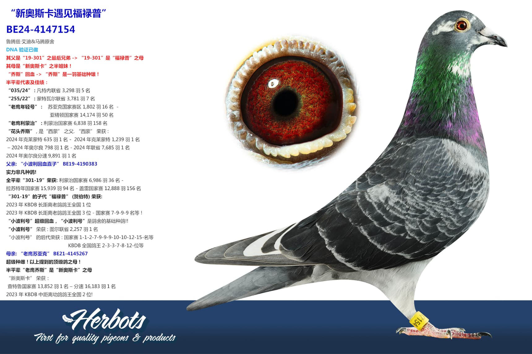 pigeon: undefined