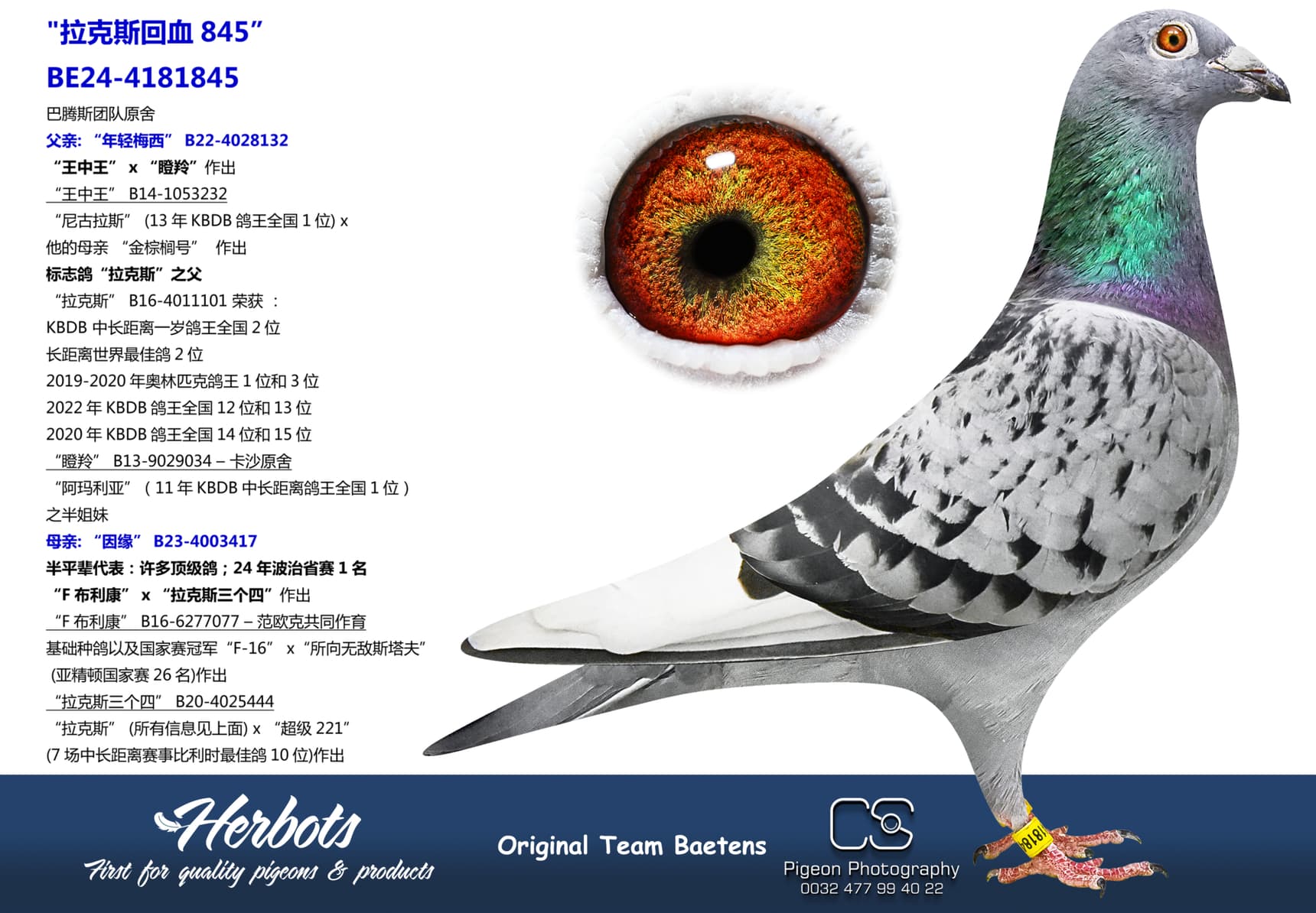 pigeon: "拉克斯回血845”