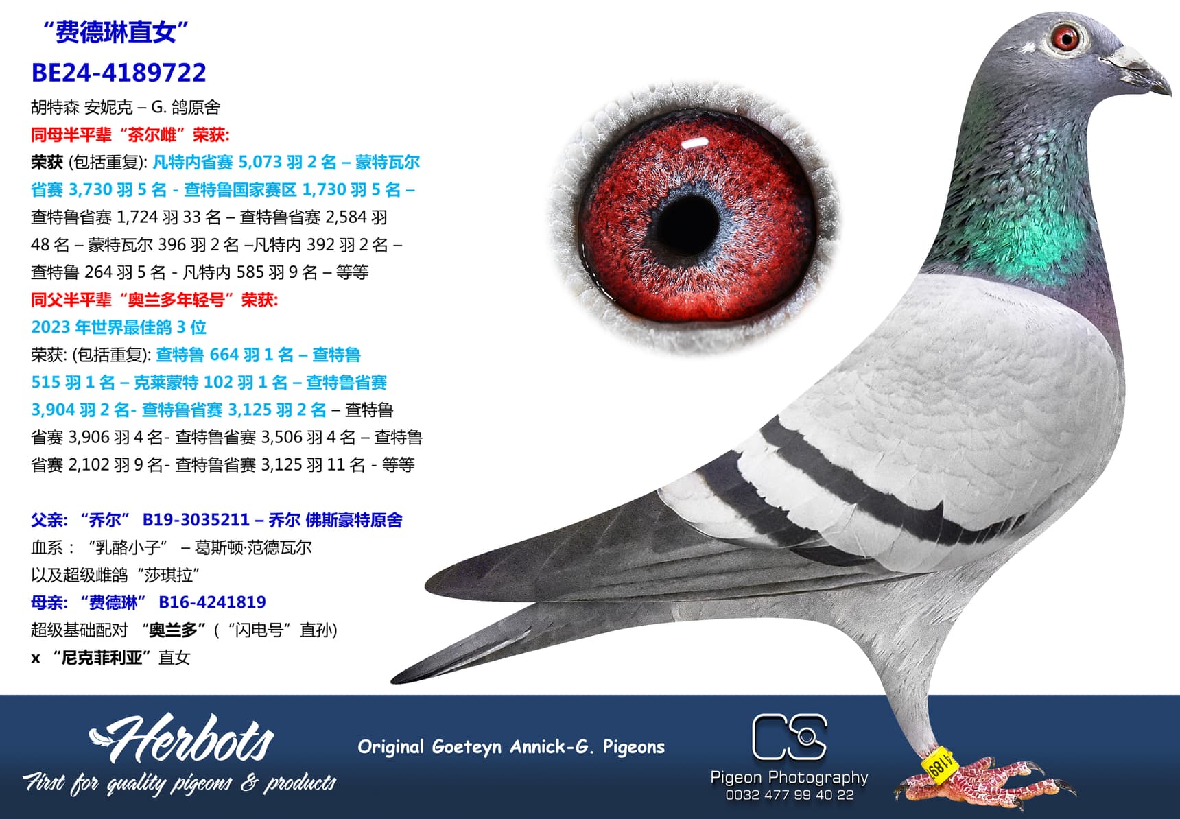 pigeon: “费德琳直女”