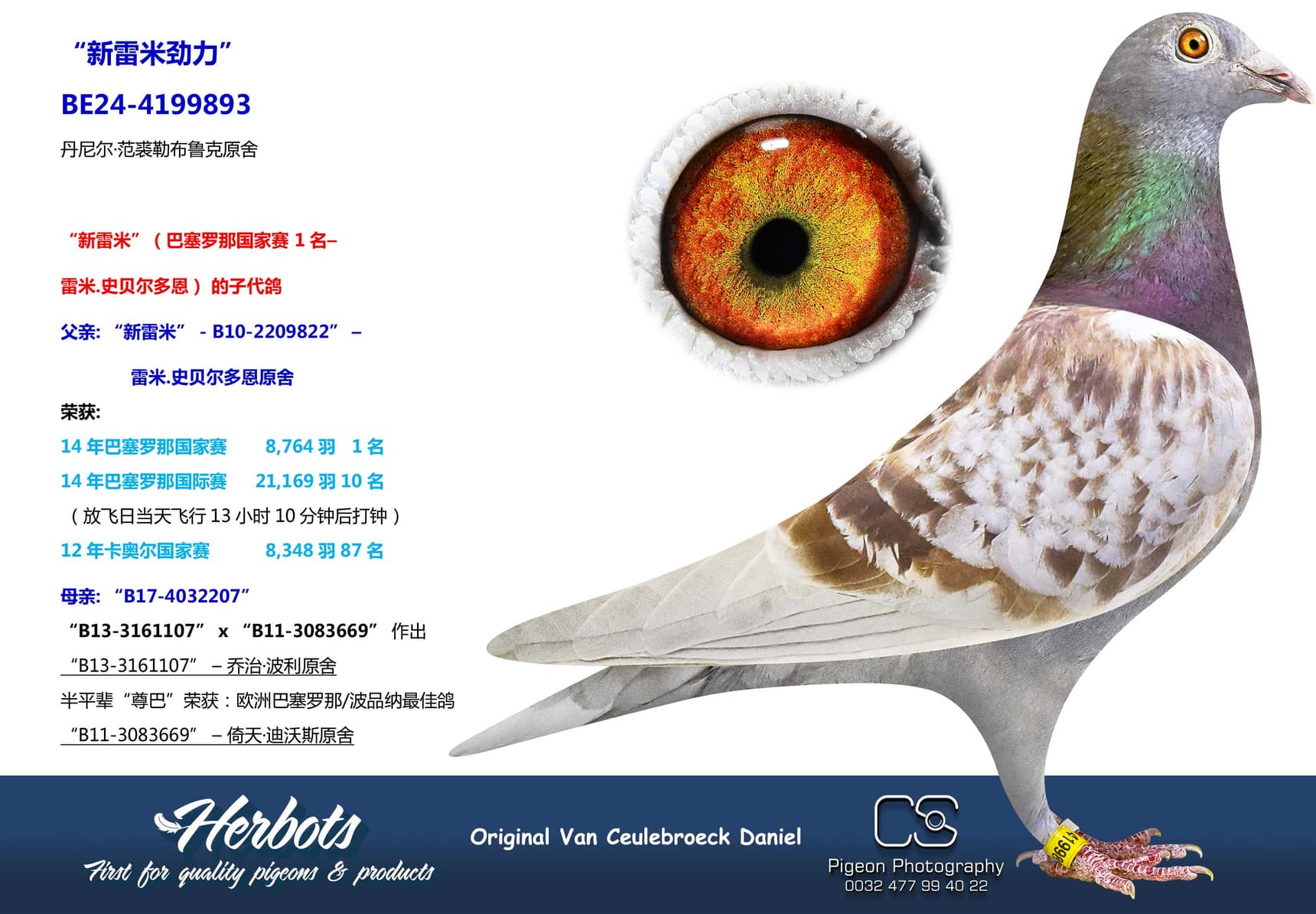 pigeon: “新雷米劲力”