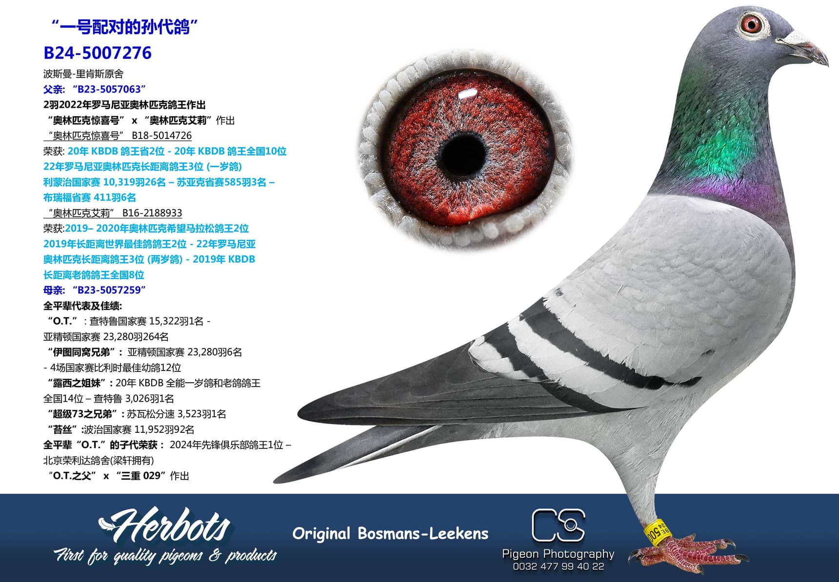 pigeon: undefined
