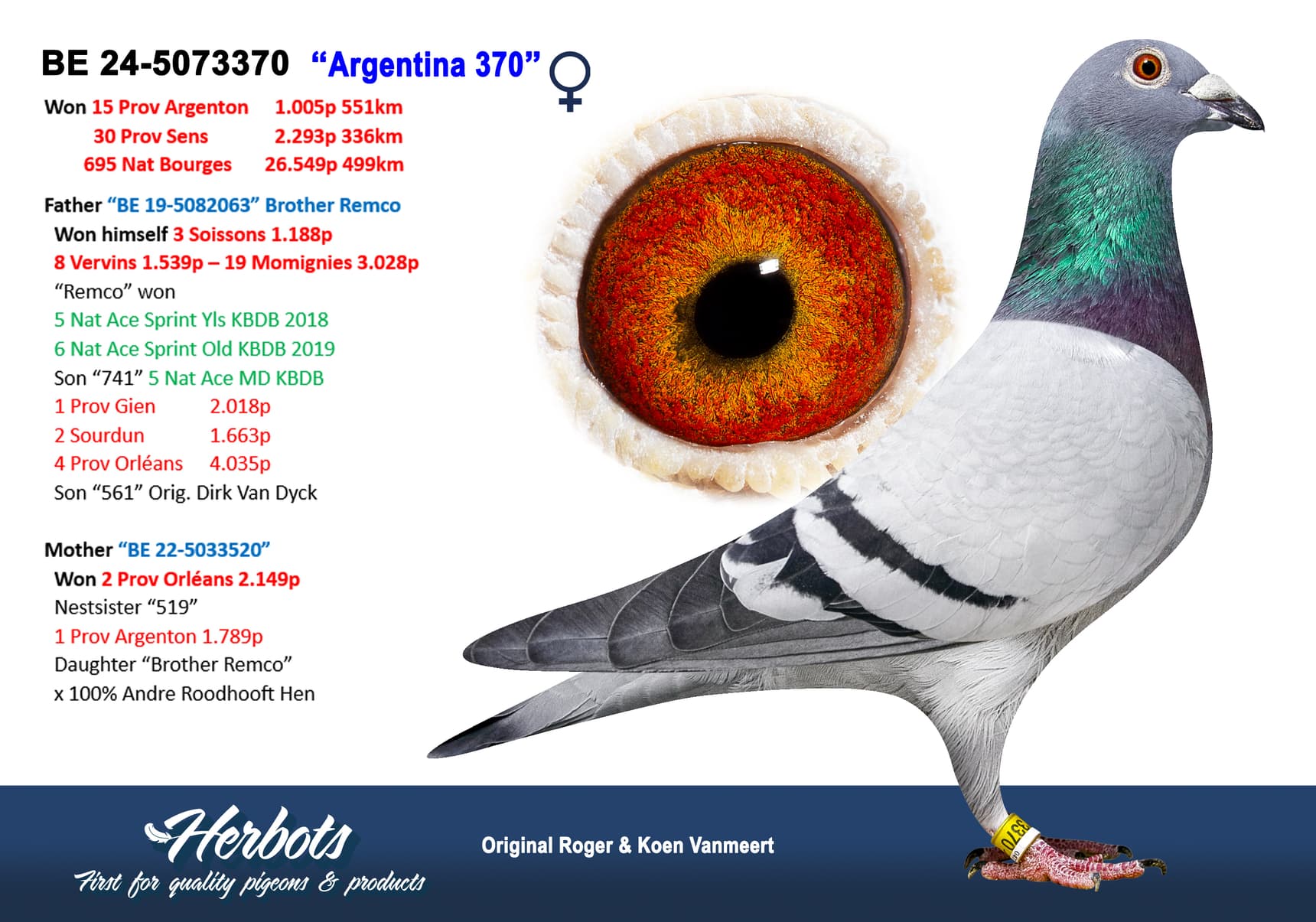 ‘Argentina 370’