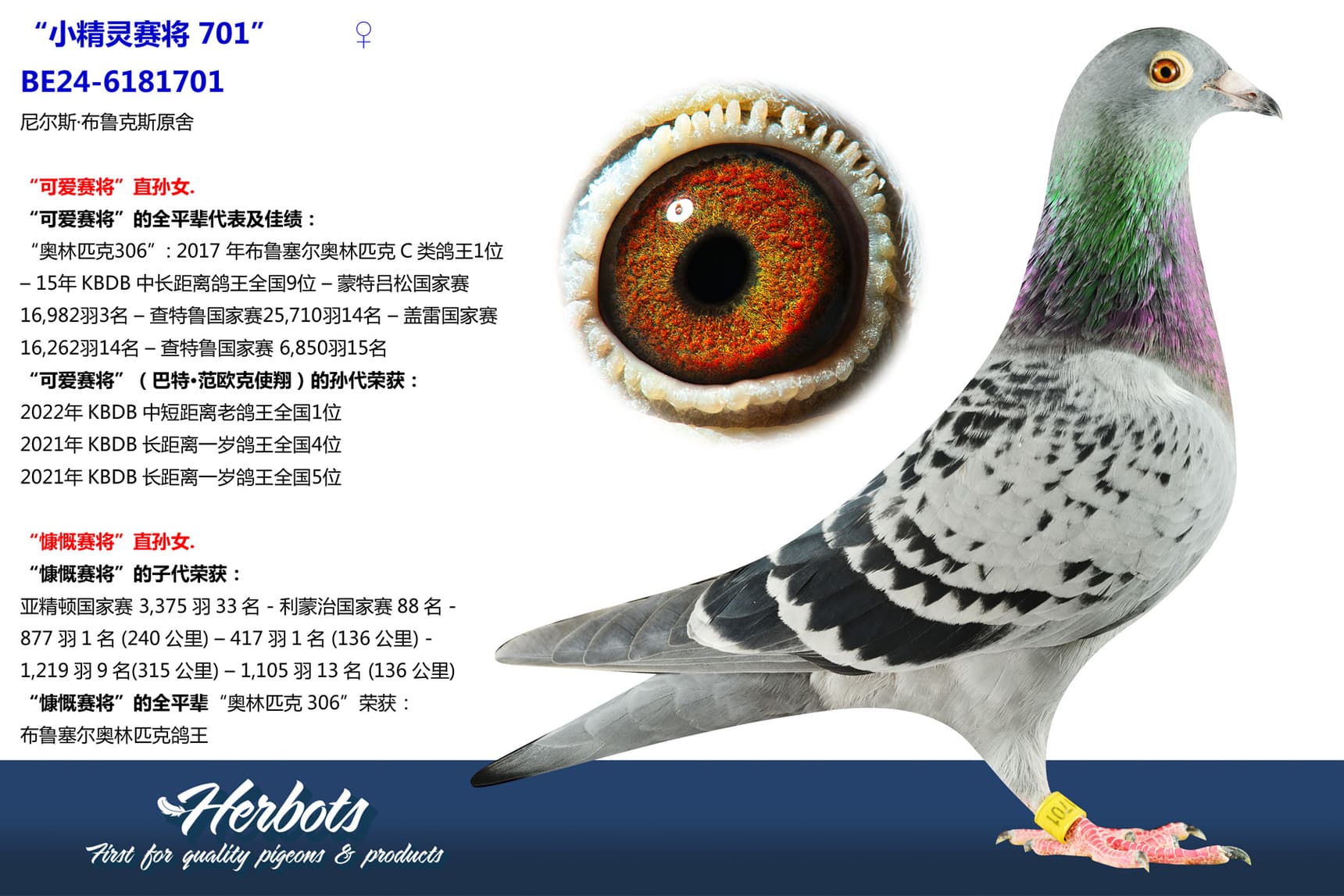 pigeon: undefined