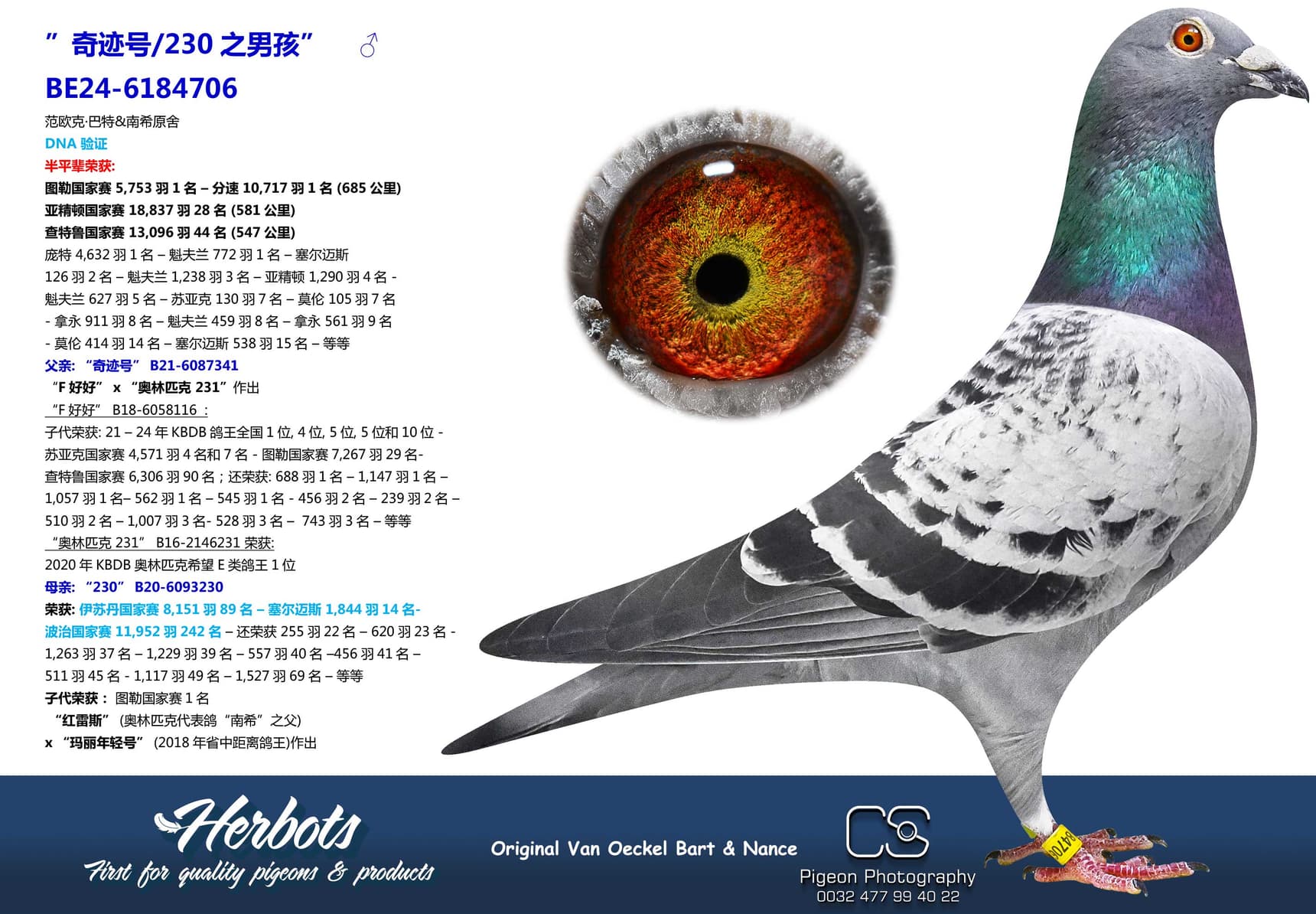 pigeon: ”奇迹号/230之男孩”