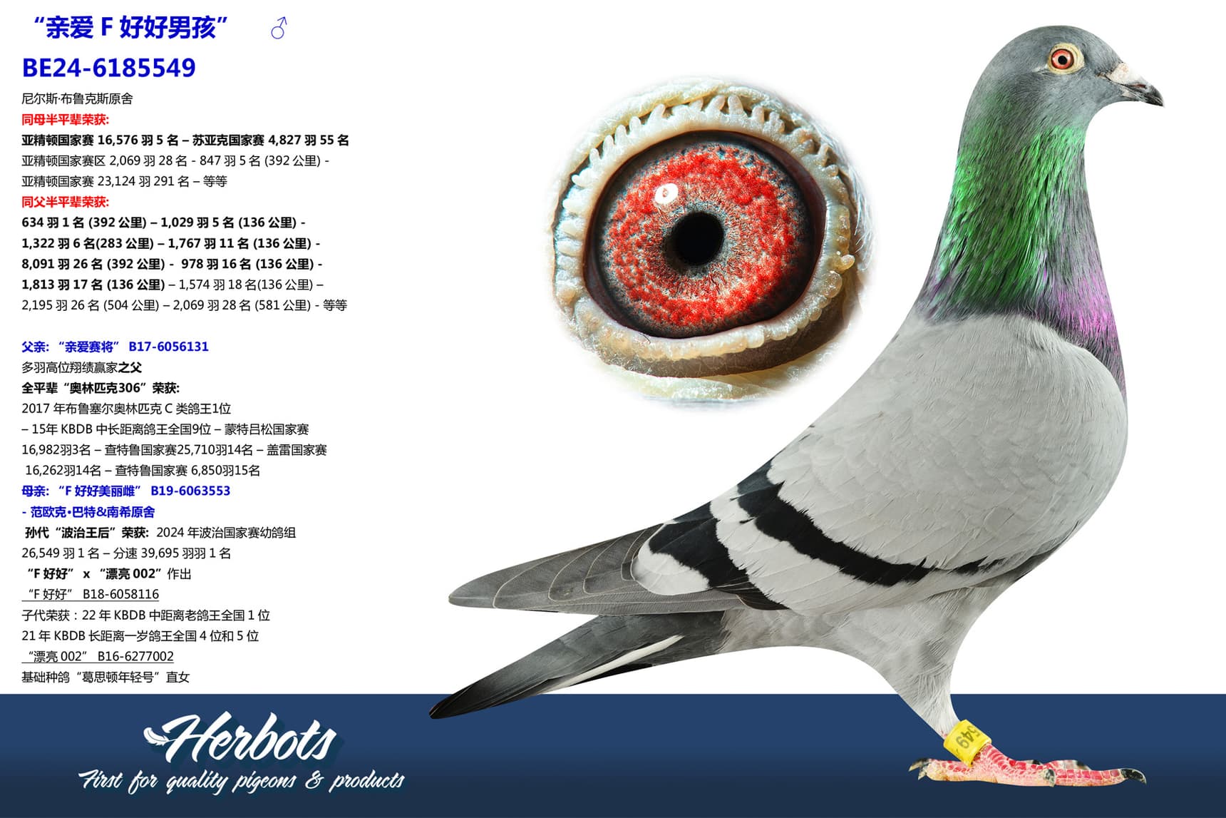 pigeon: undefined