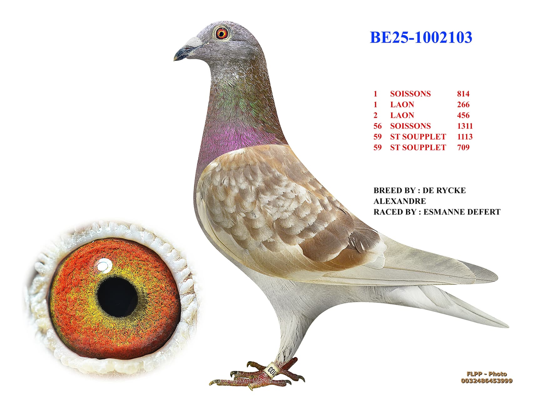 Double 1st prize winner