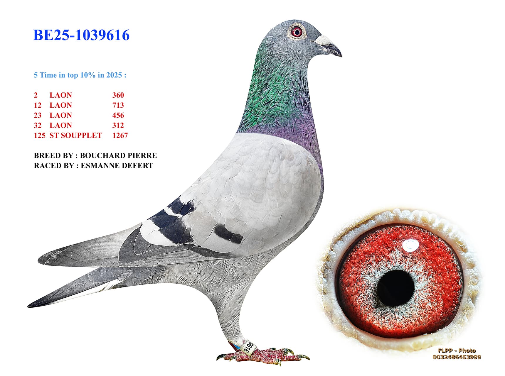 5 Time in top 10% in 2025