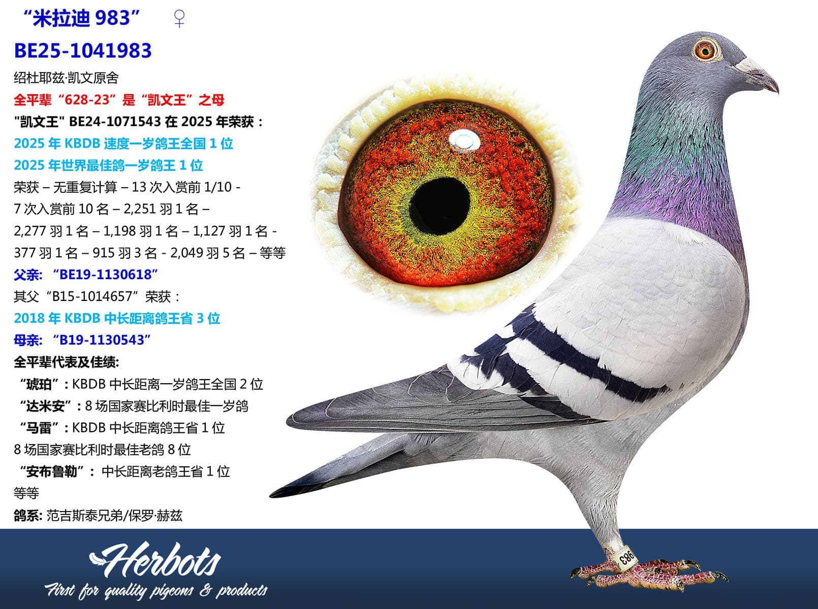 pigeon: undefined