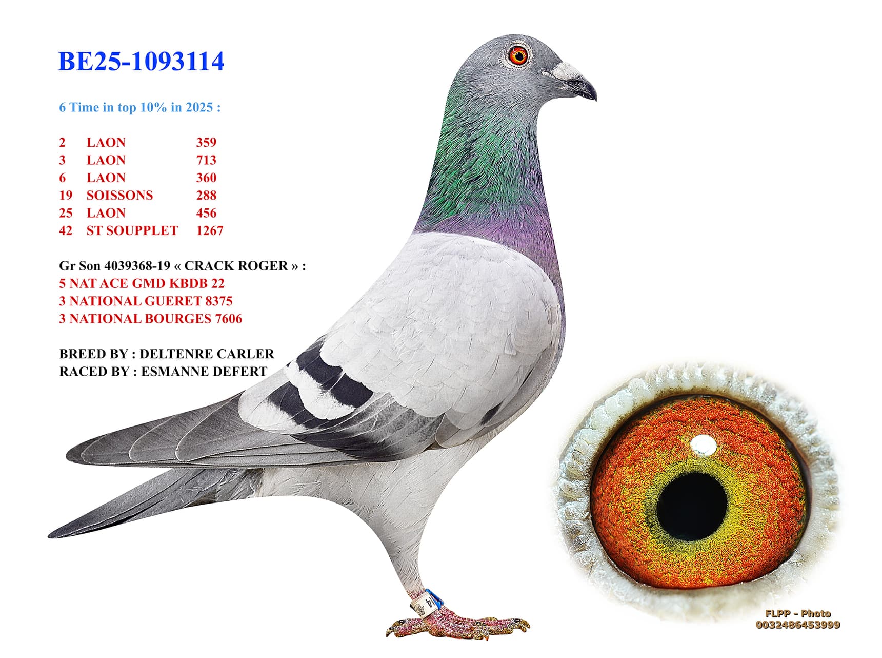 6 times in top 10% 2025