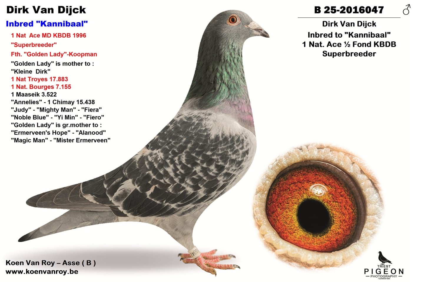 Dirk Van Dijck  Inbred "Kannibaal"