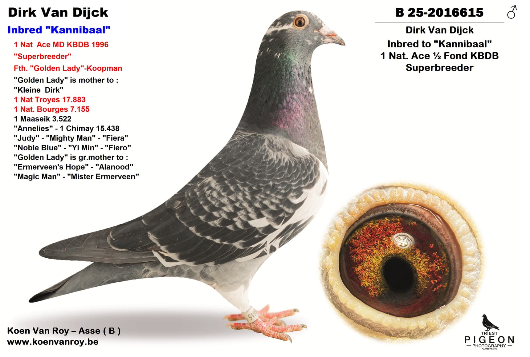 Dirk Van Dijck  Inbred "Kannibaal"