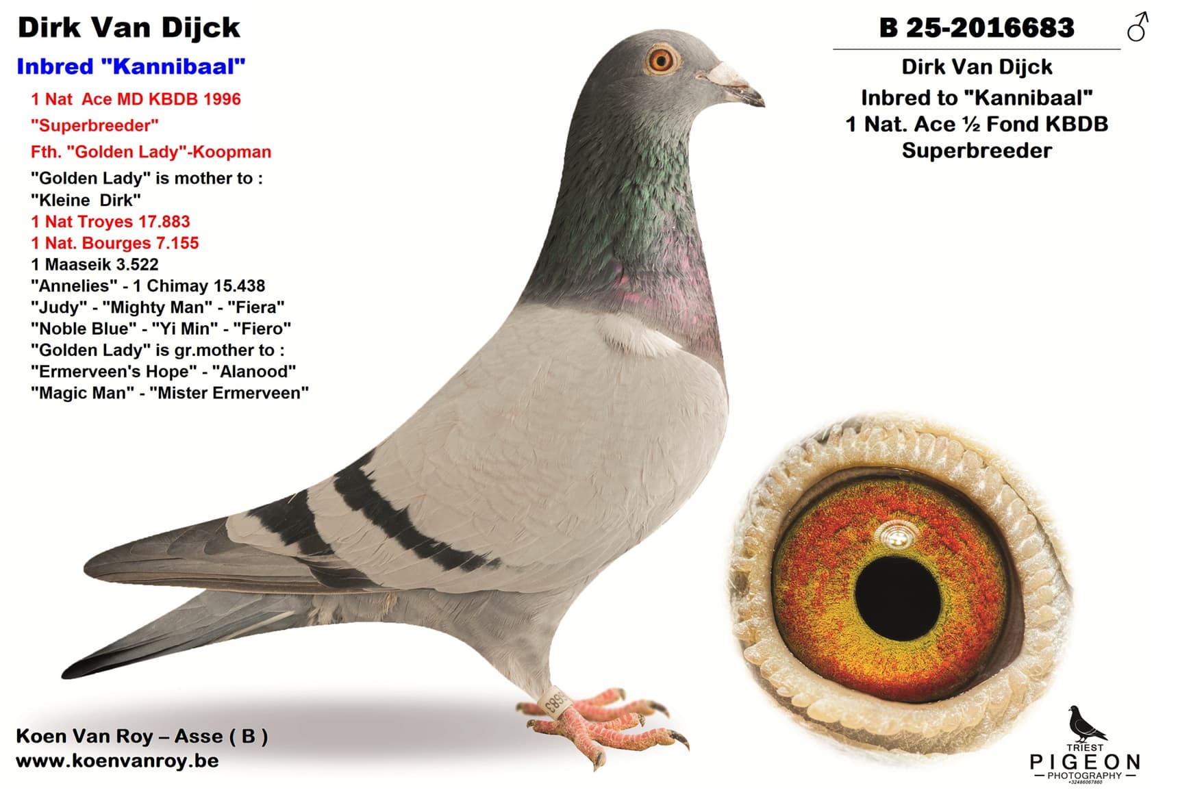 Dirk Van Dijck  Inbred "Kannibaal"