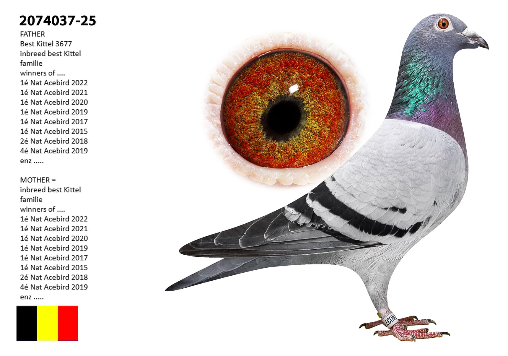 ‘Inbreed Best Kittel x Inbreed Hattrick’