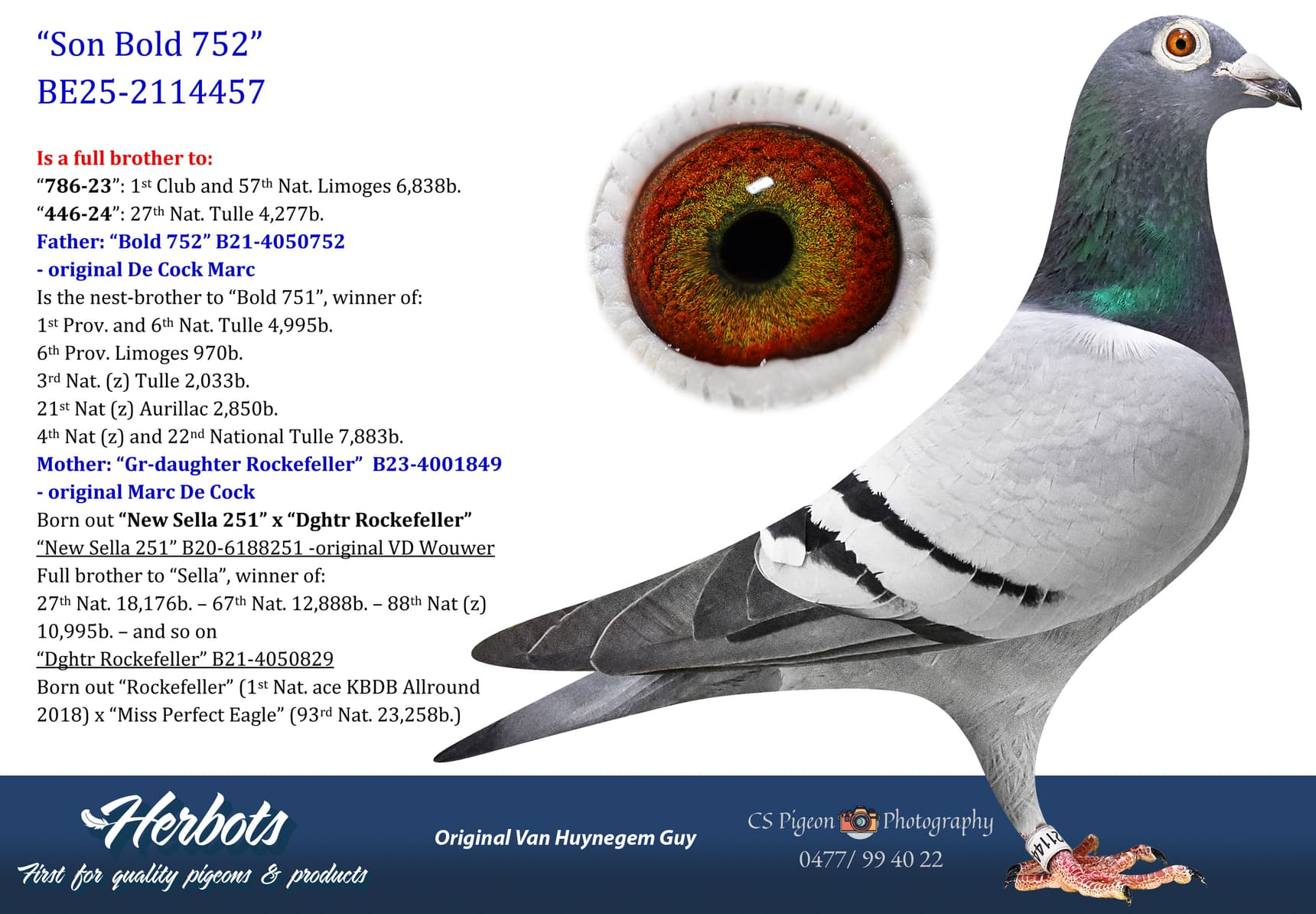 pigeon: undefined