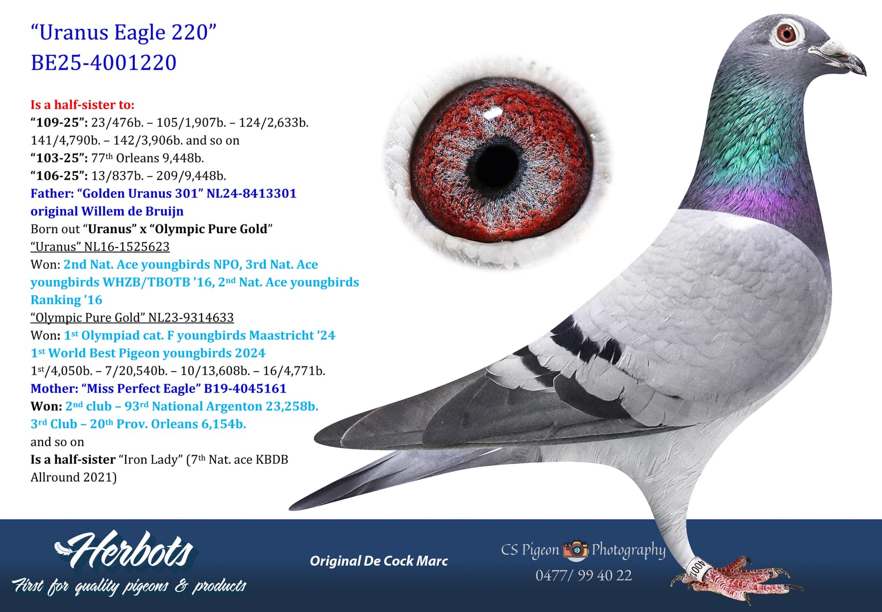 pigeon: undefined