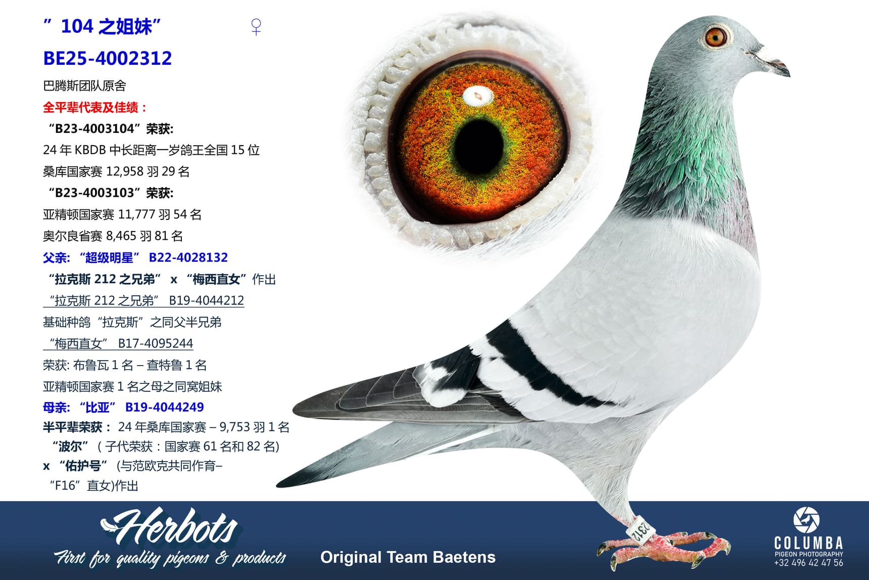 pigeon: undefined