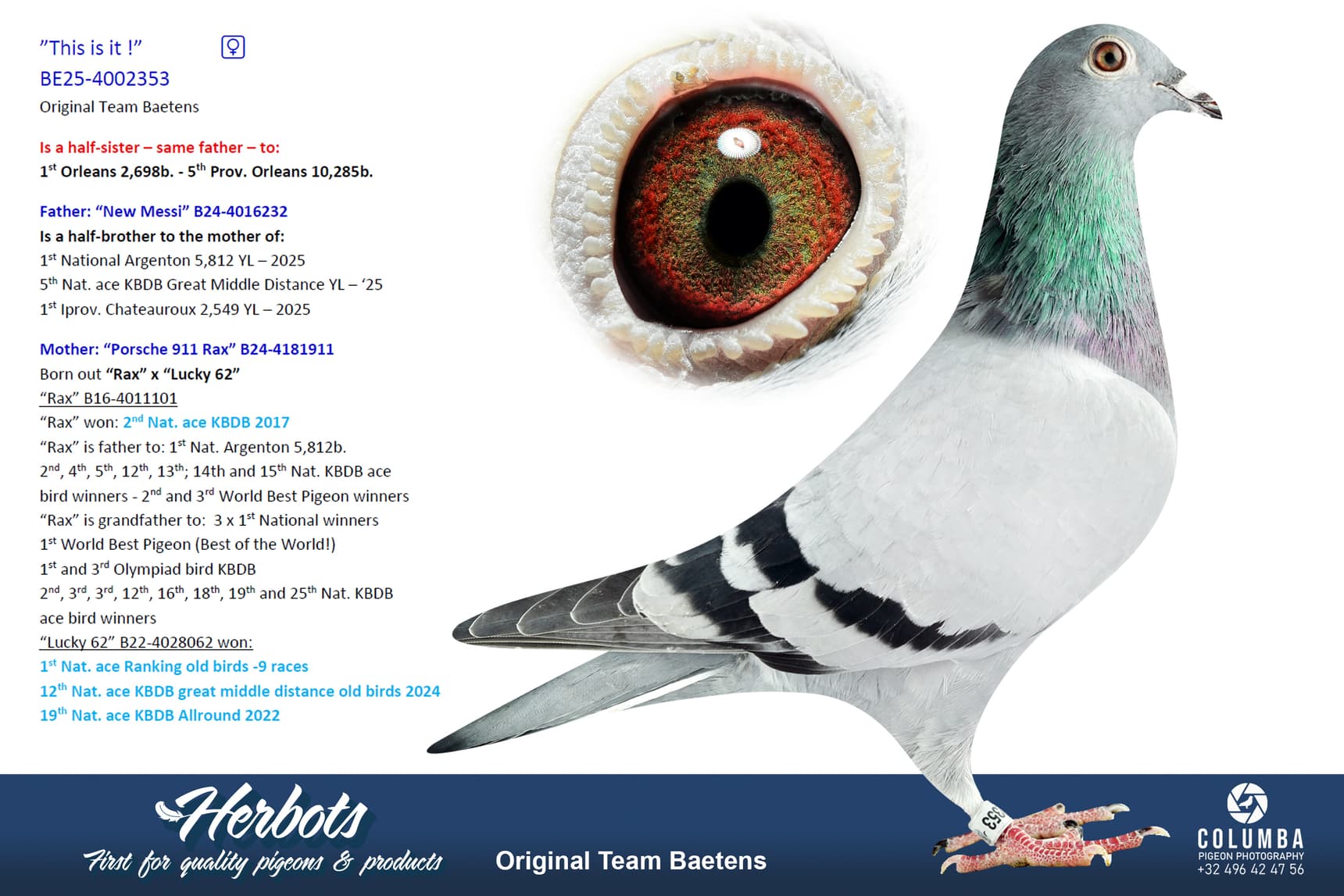 pigeon: undefined
