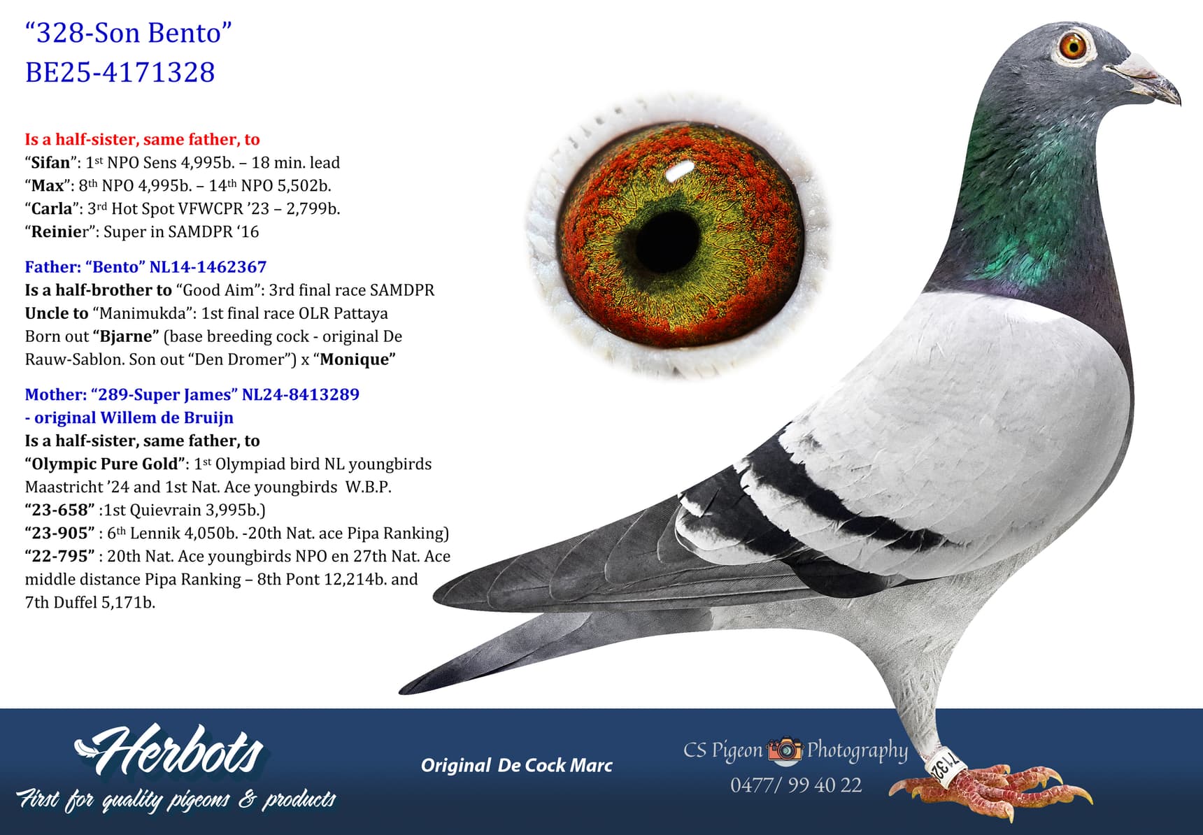 pigeon: undefined