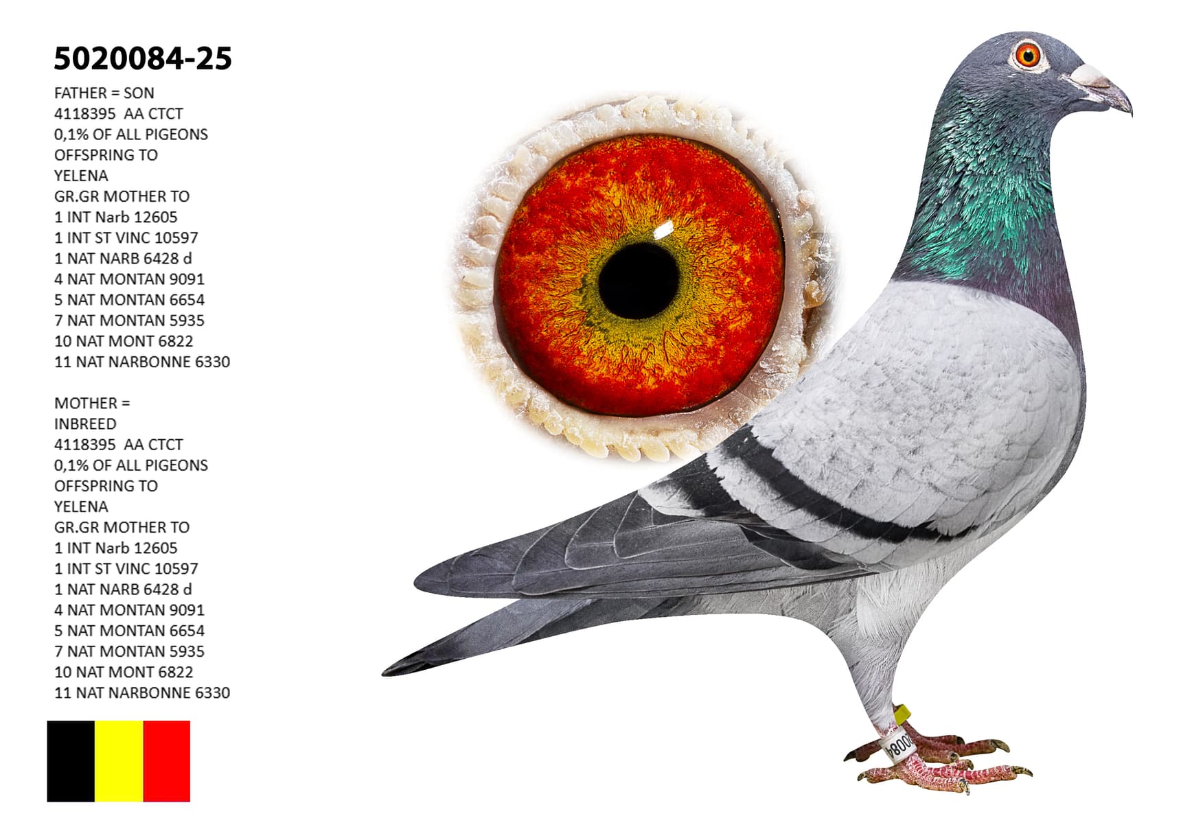 ‘Inbreed To 501’ x ‘Inbreed Yelena’