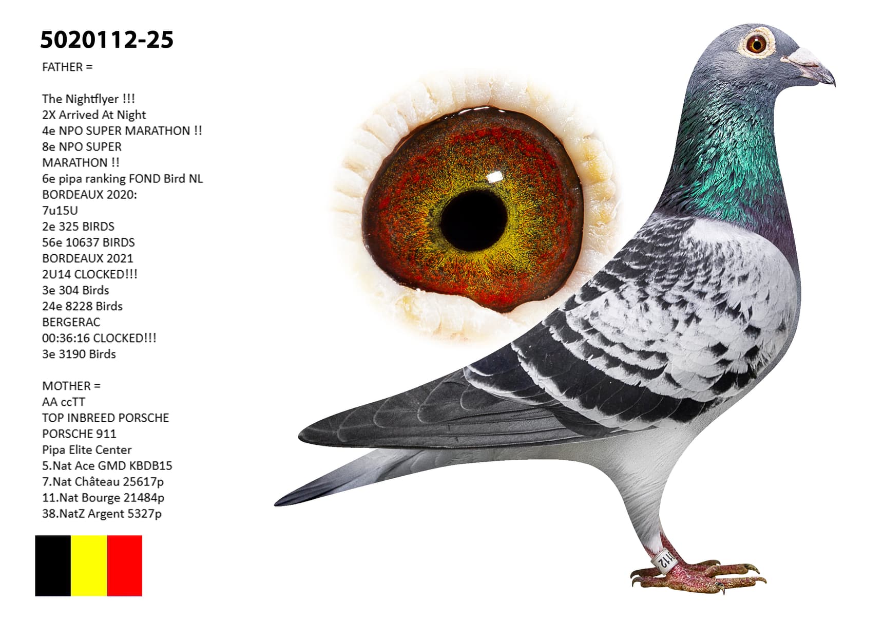 ‘Son Nightflyer’