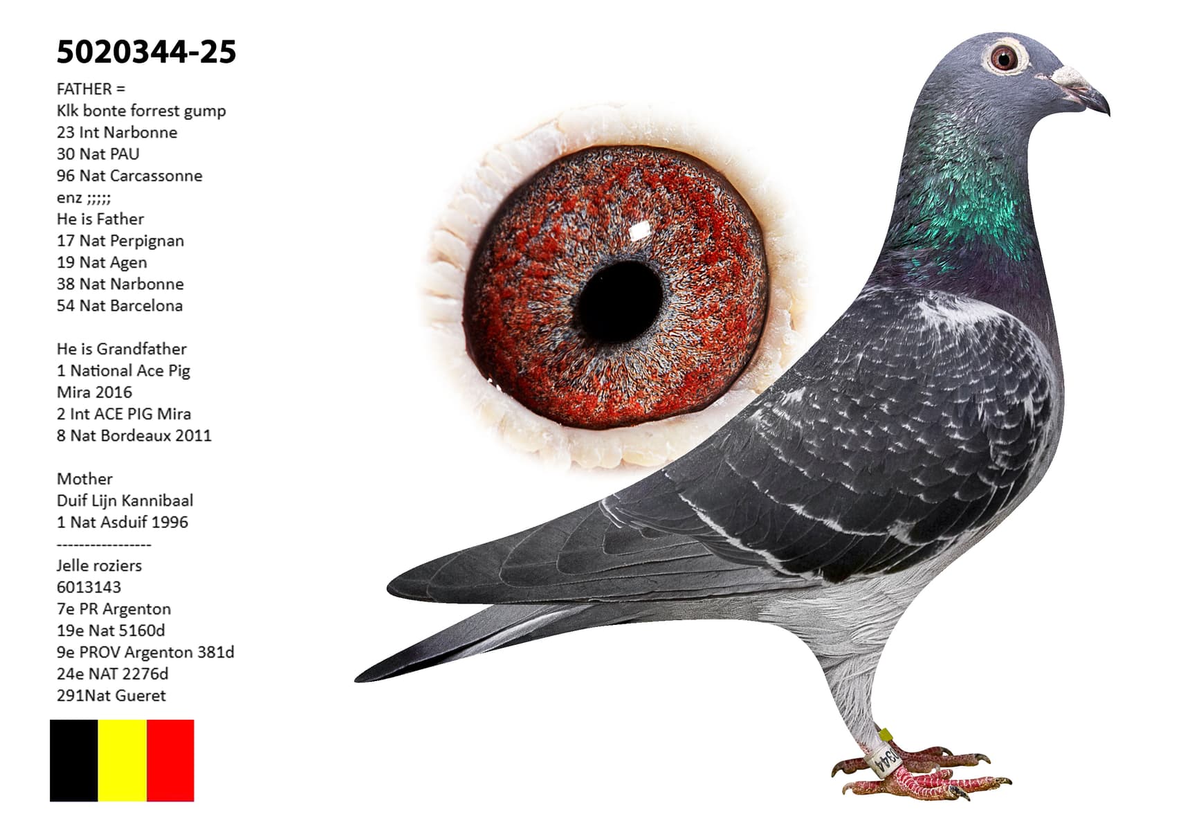 ‘Zomerjong 2025’