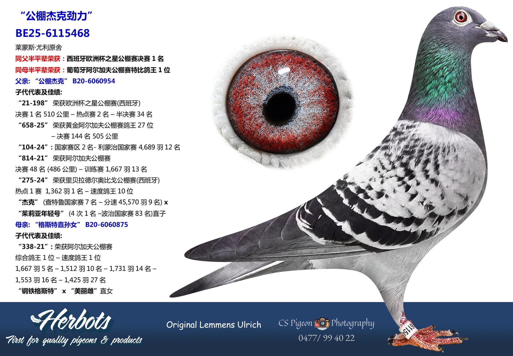 pigeon: undefined