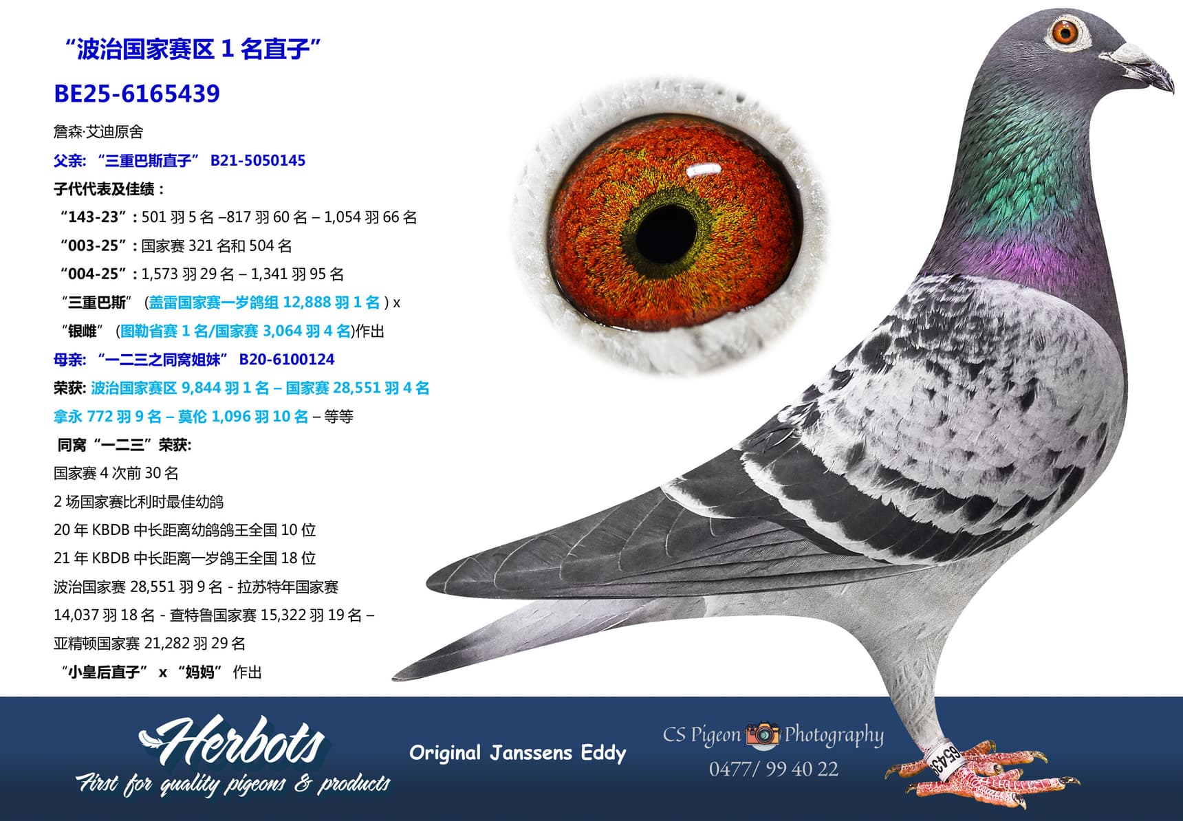 pigeon: undefined