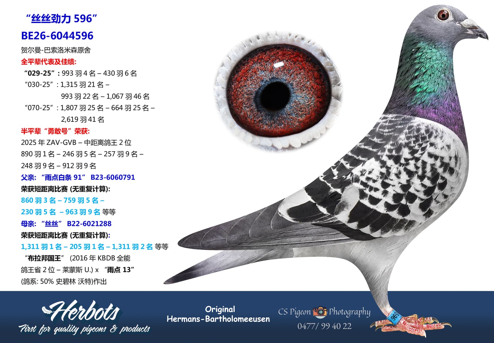 pigeon: undefined