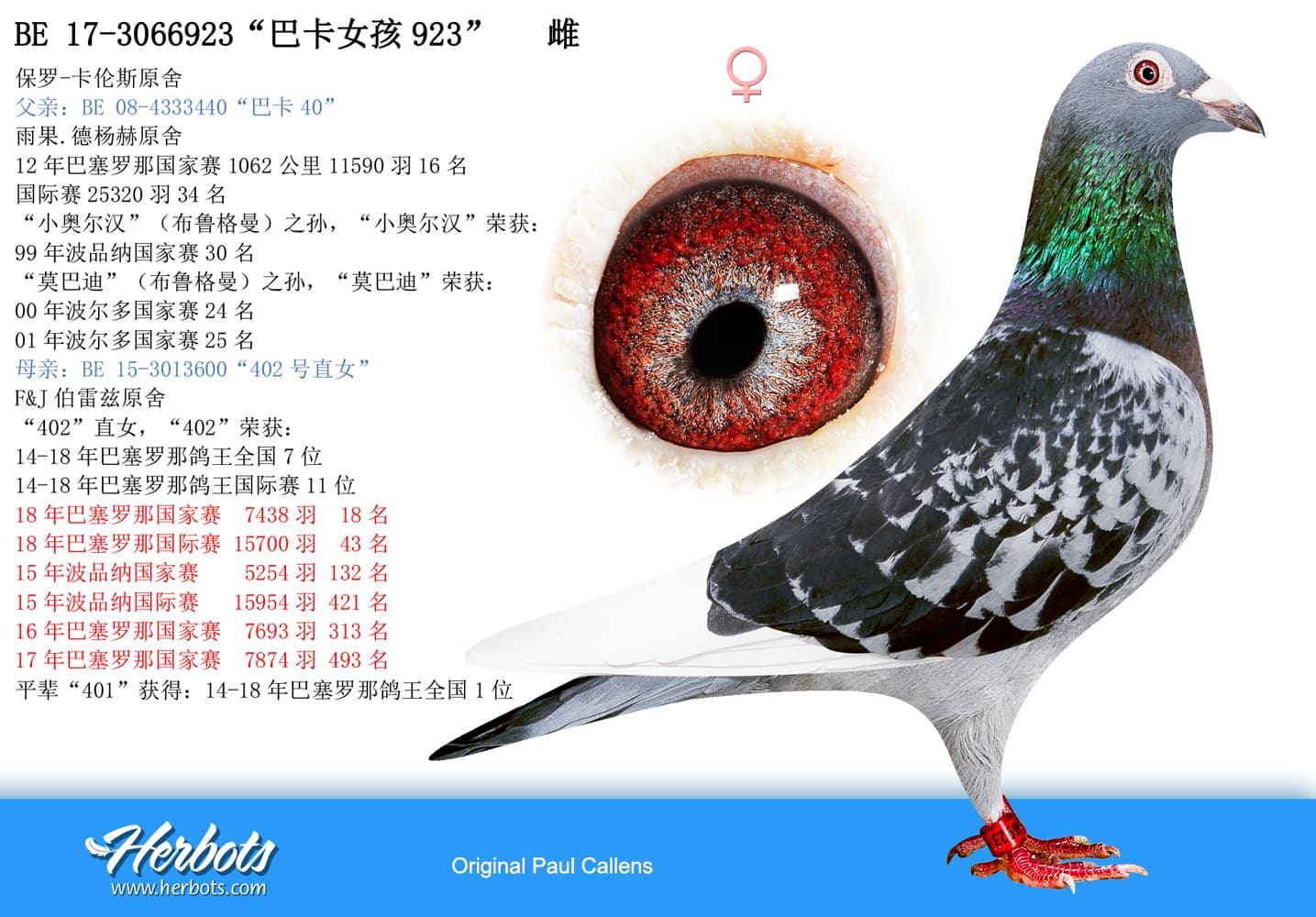 pigeon: “巴卡女孩923”