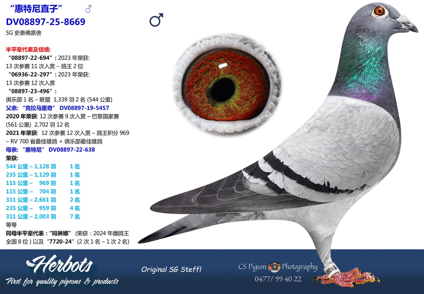 pigeon: undefined