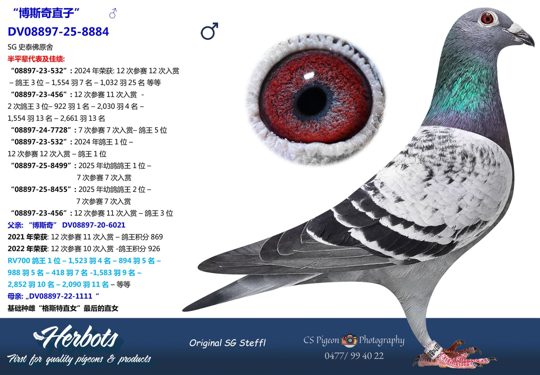 pigeon: undefined