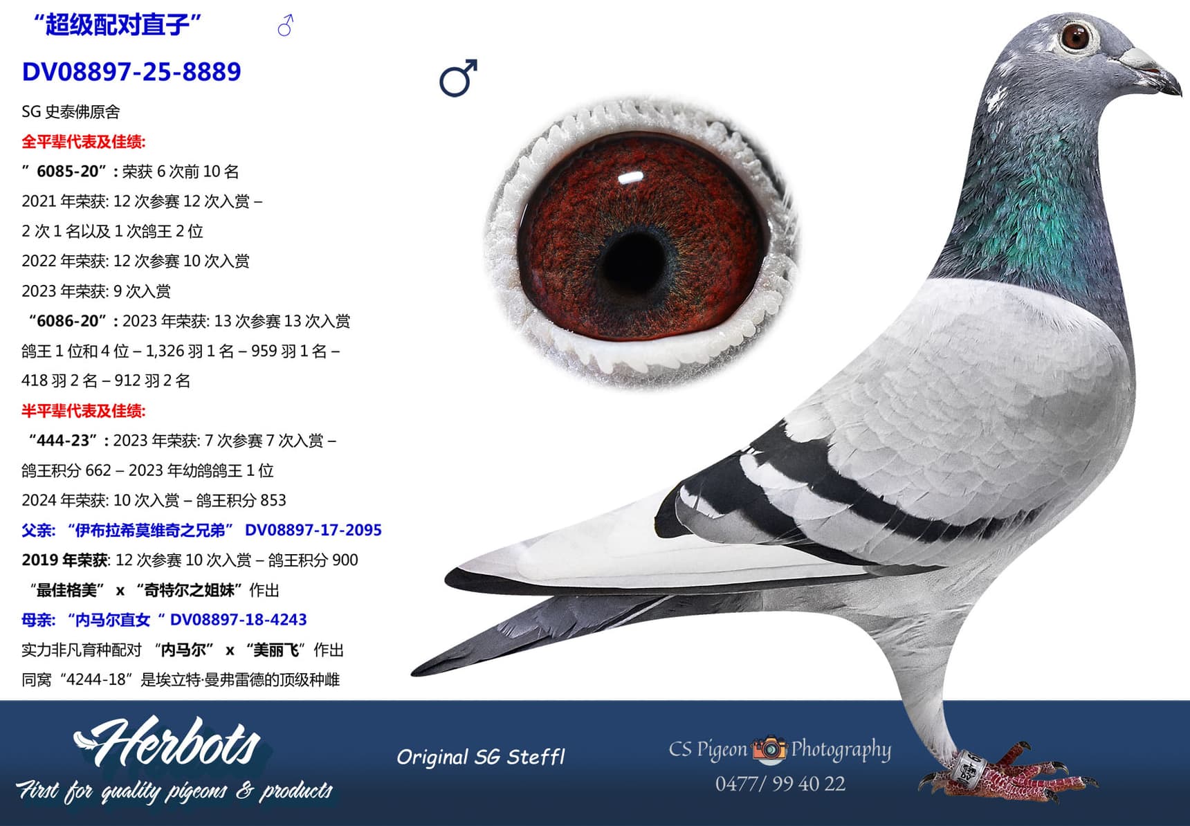 pigeon: undefined
