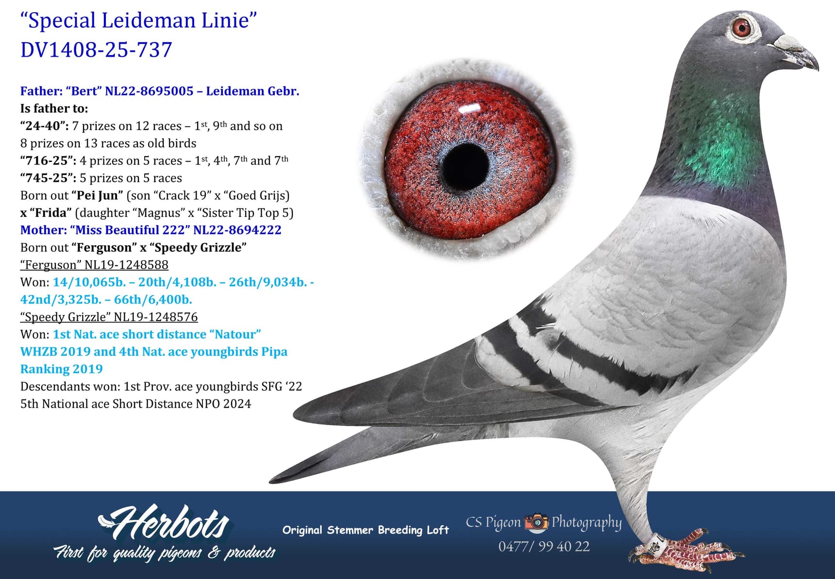 pigeon: undefined