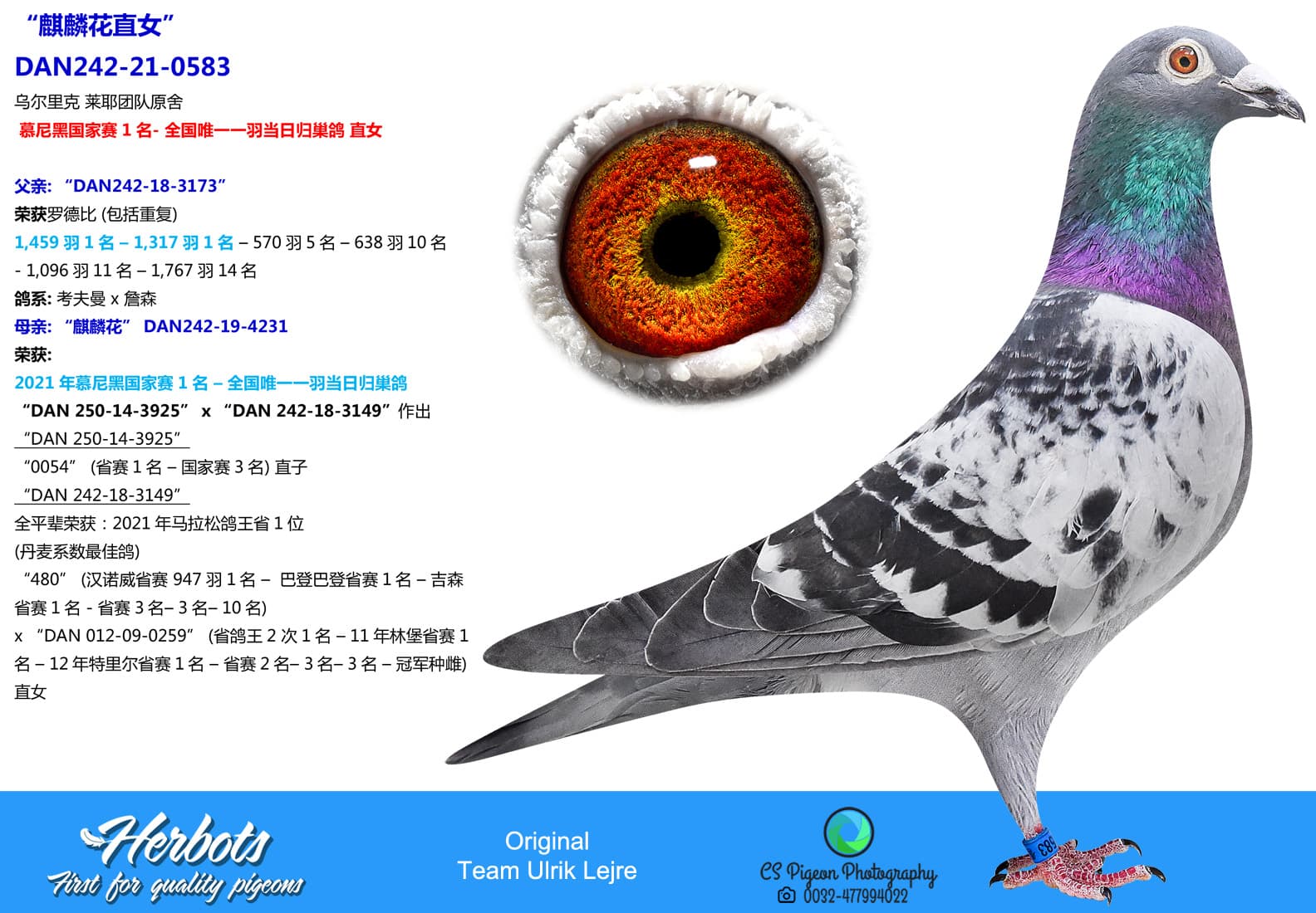 pigeon: undefined