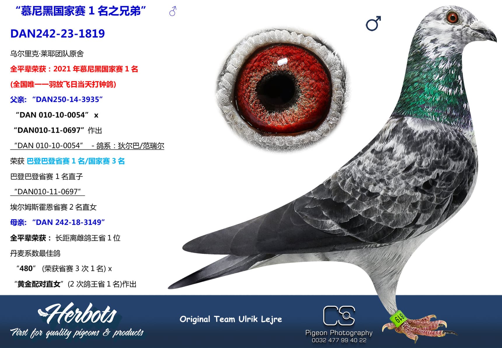 pigeon: “慕尼黑国家赛1名之兄弟”