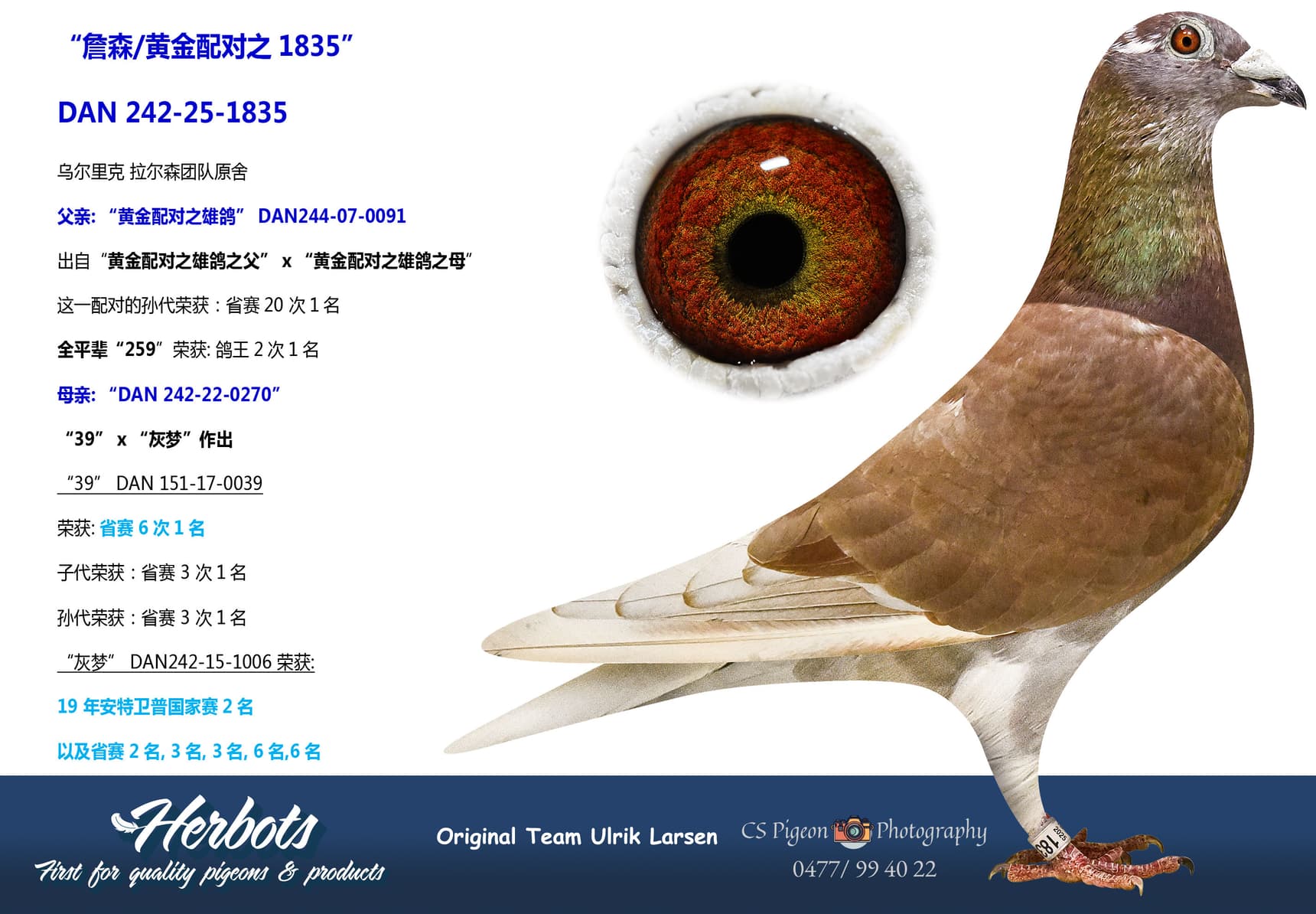 pigeon: undefined