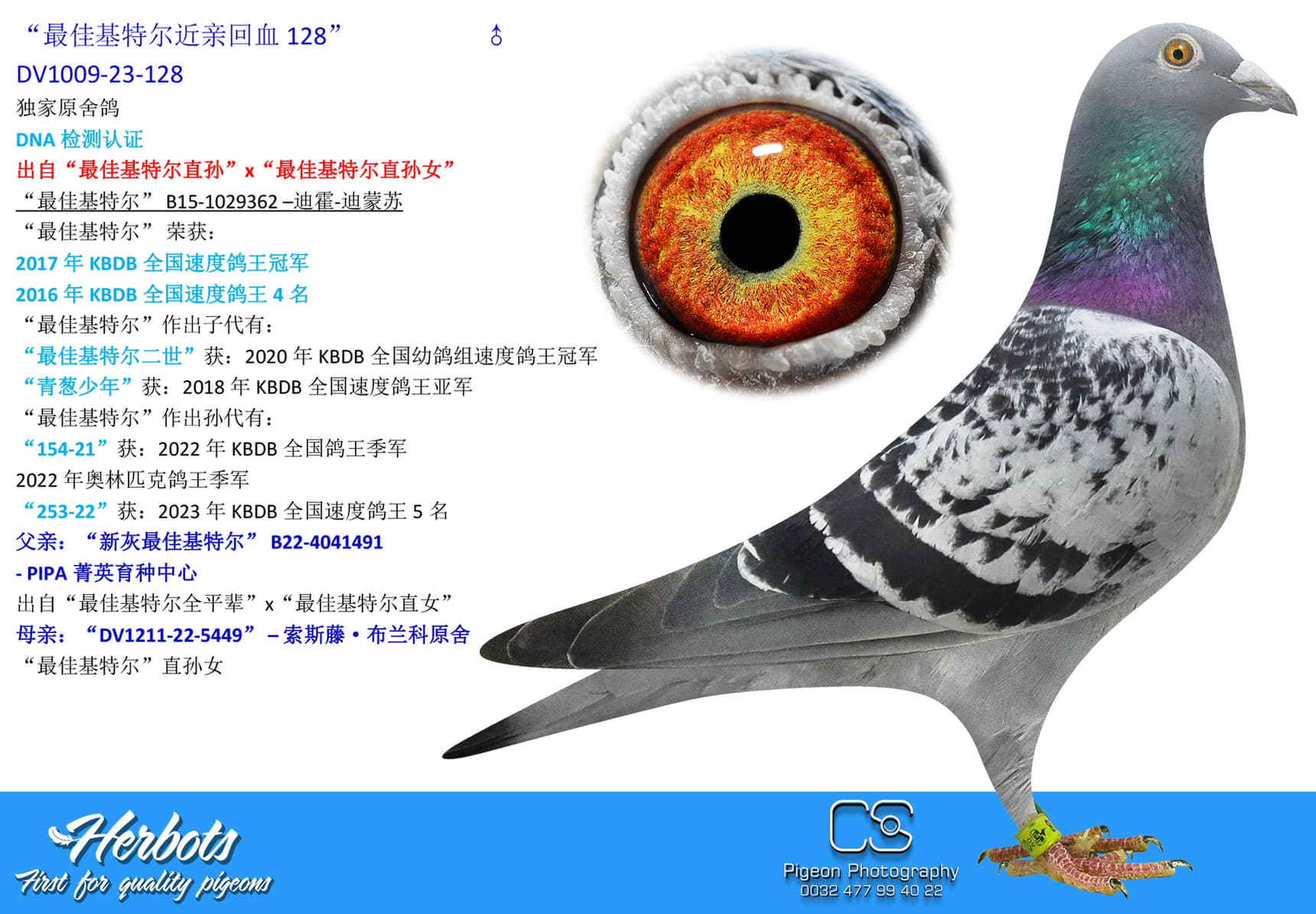 pigeon: undefined