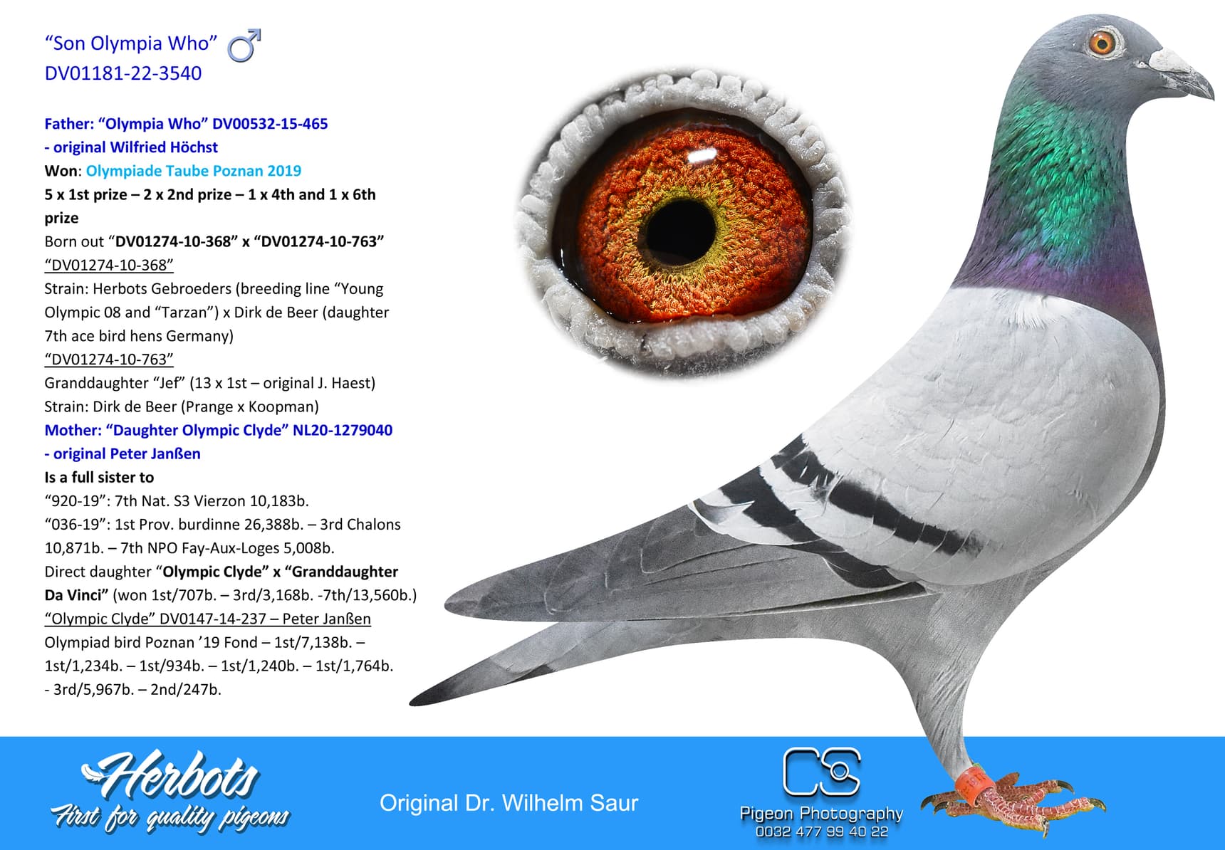 pigeon: “Son Olympia Who”