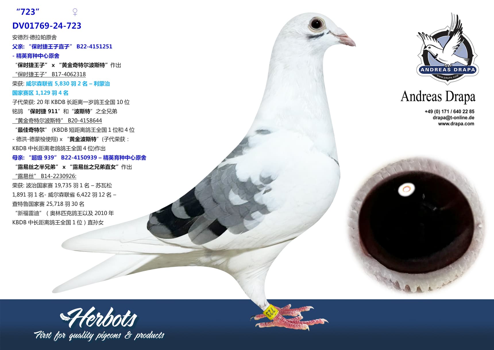 pigeon: undefined