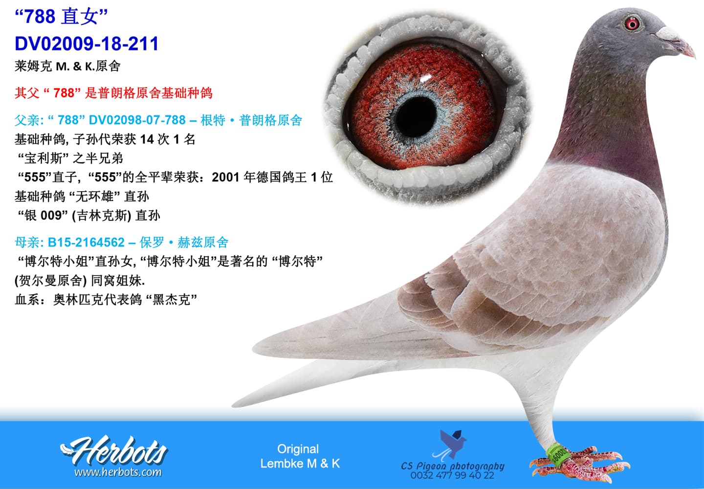 pigeon: “788直女”