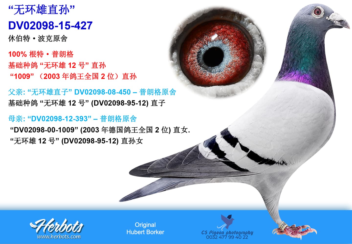 pigeon: “无环雄直孙”