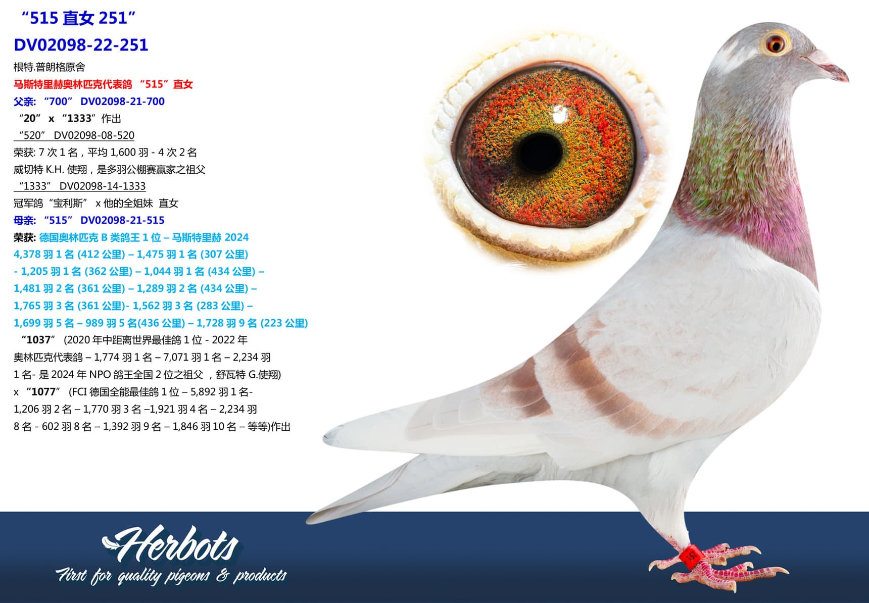 pigeon: undefined
