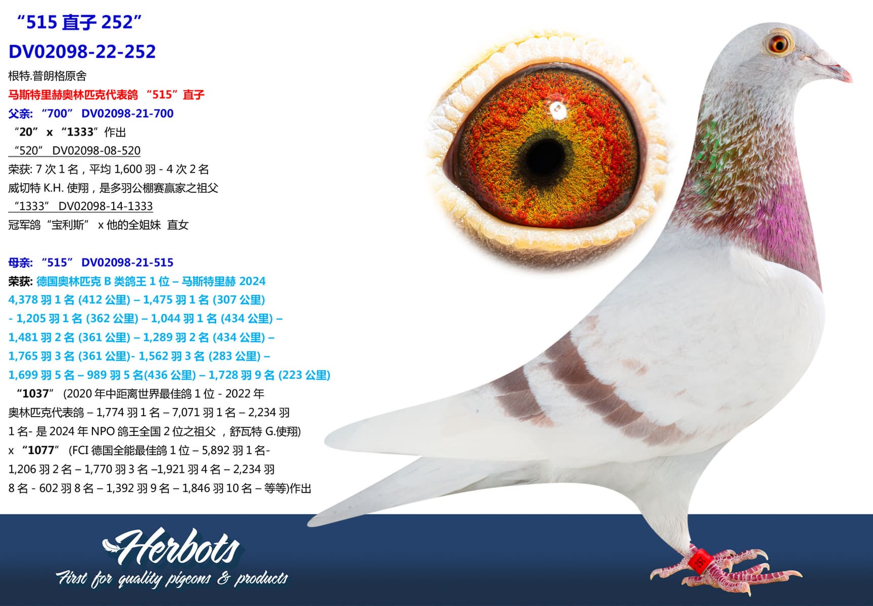 pigeon: undefined